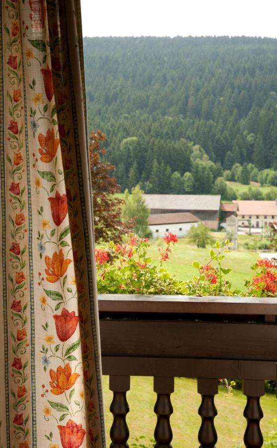 Landhotel Bayerwald Grafling Pokoj fotografie