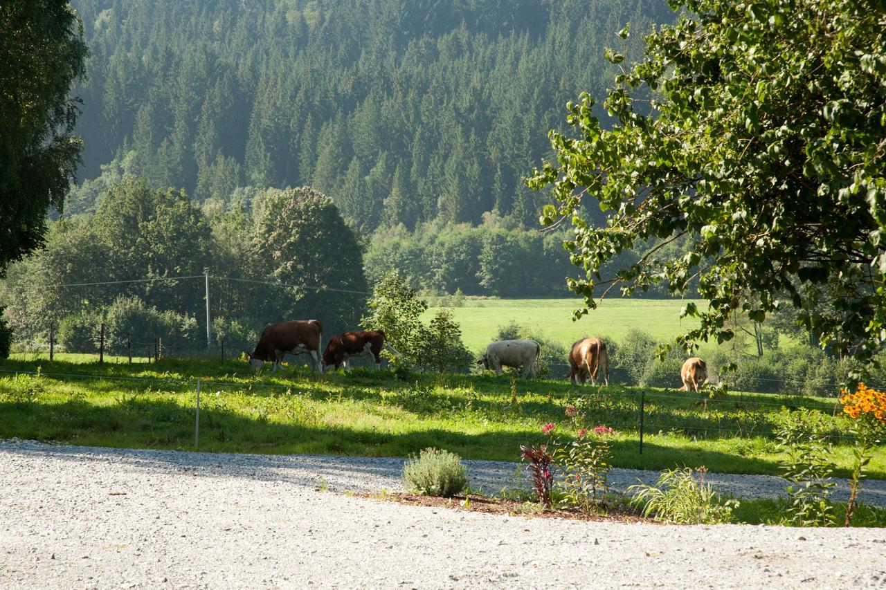 Landhotel Bayerwald Grafling Exteriér fotografie